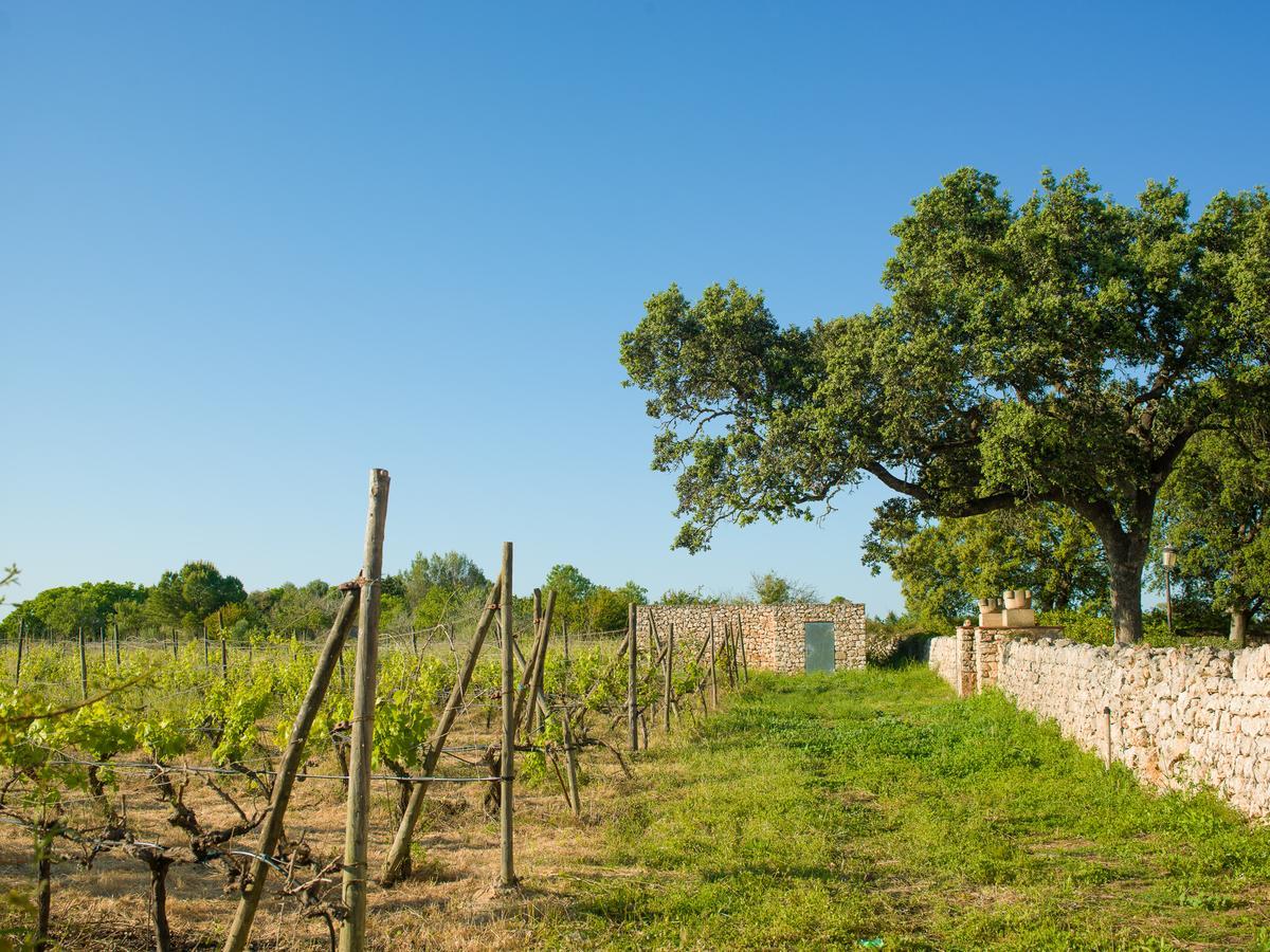 Sa Bassa Rotja Ecoturisme Country house