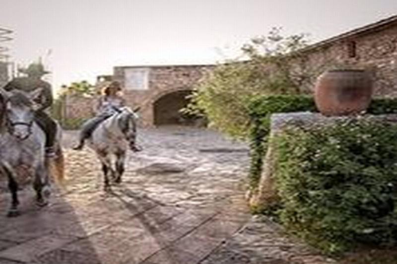 Sa Bassa Rotja Ecoturisme Country house Porreres
